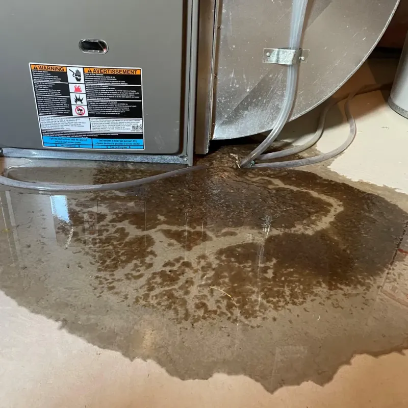 Appliance Leak Cleanup in Washburn, WI