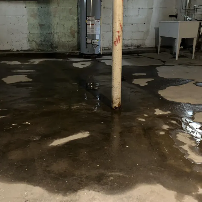 Emergency Water Extraction And Removal in Washburn, WI